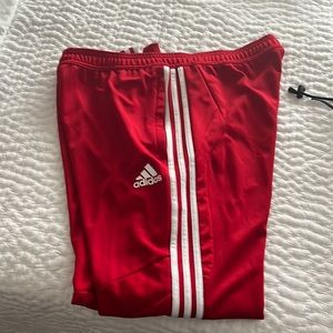 Adidas climax pants